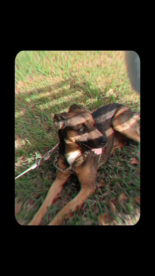 Instagram post from sirus.studio. This post is in position 1.